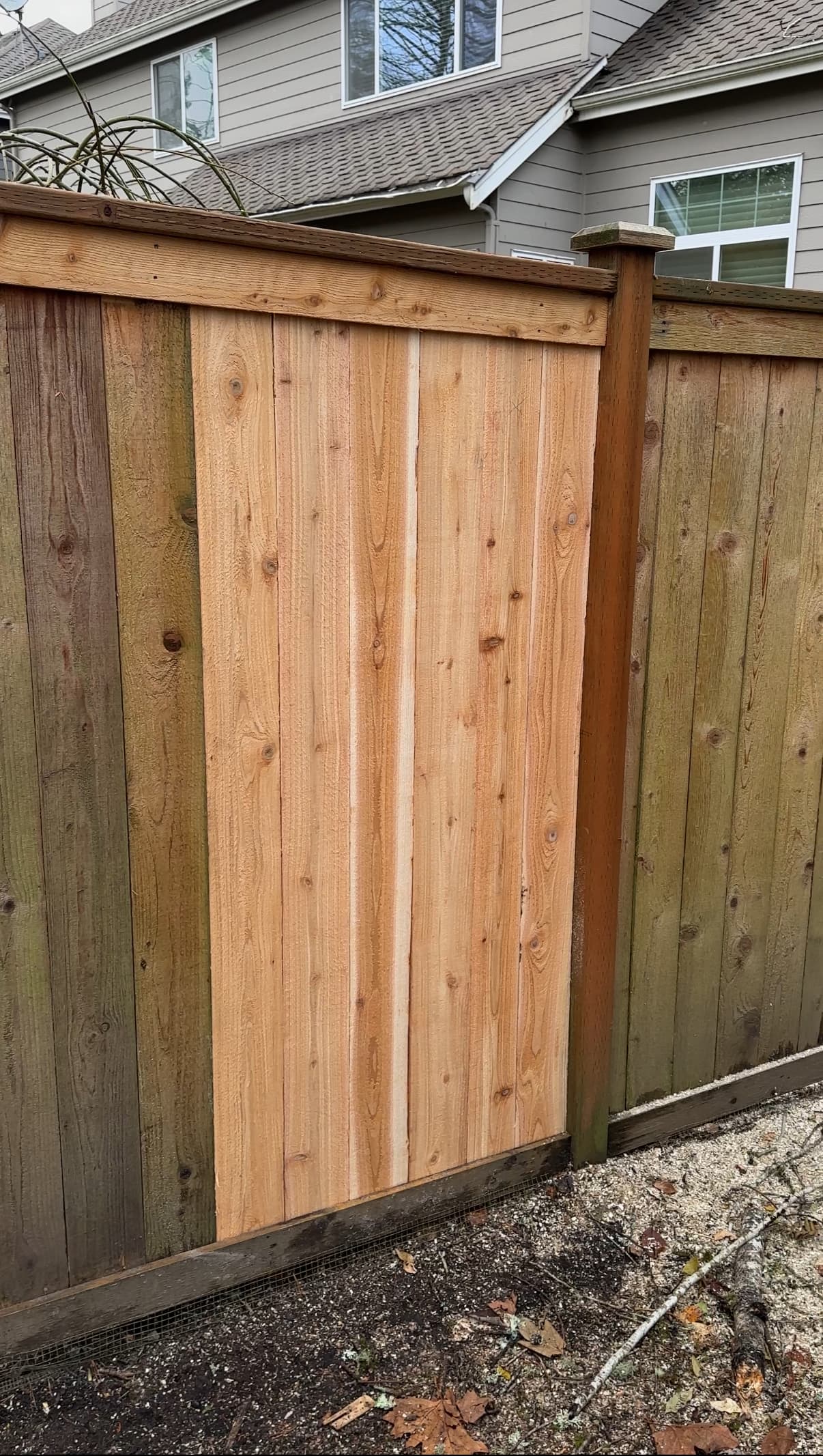 After professional fence repair by Cascade Fencing - fully restored cedar fence