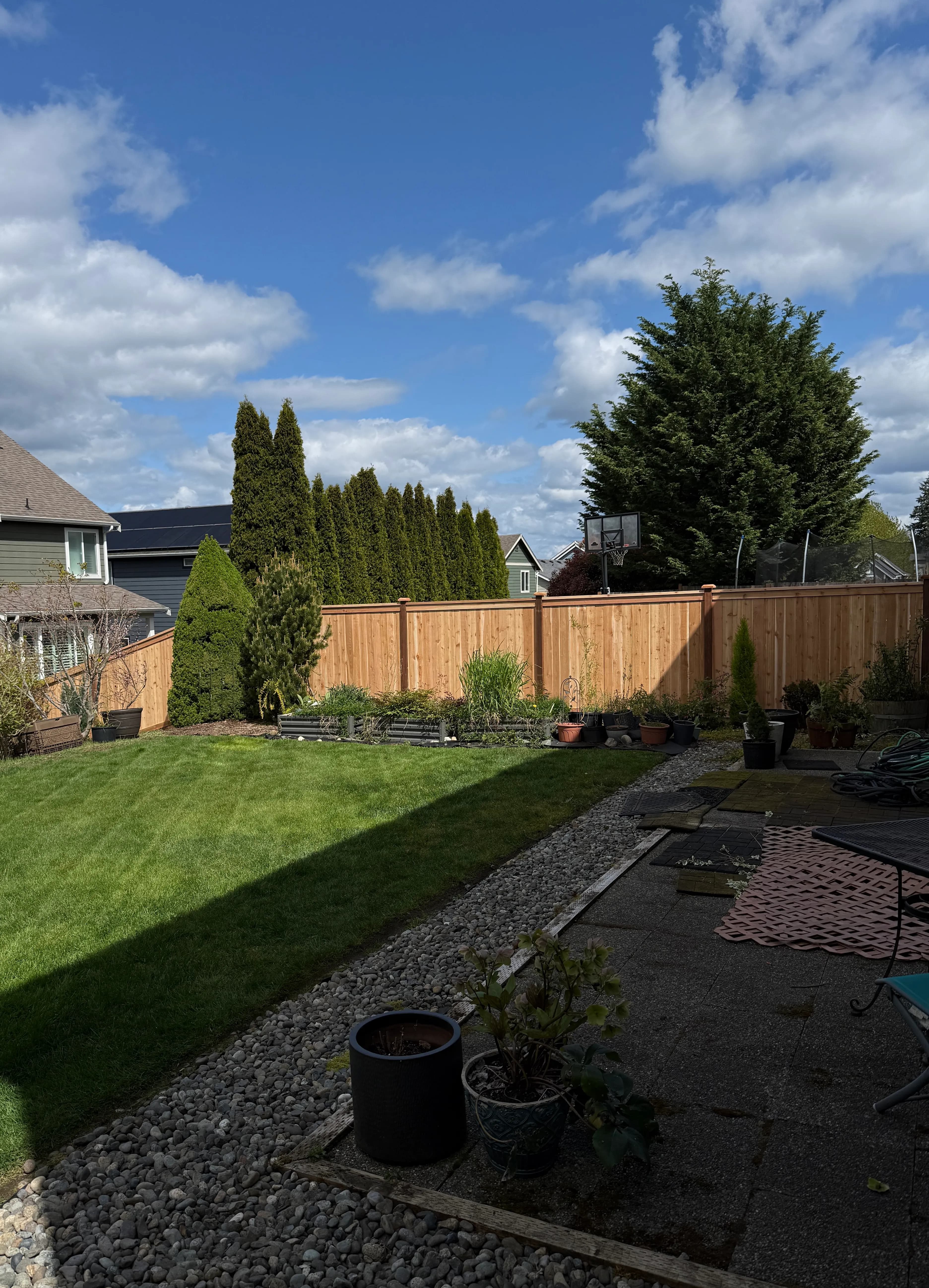 Cedar Privacy Fences